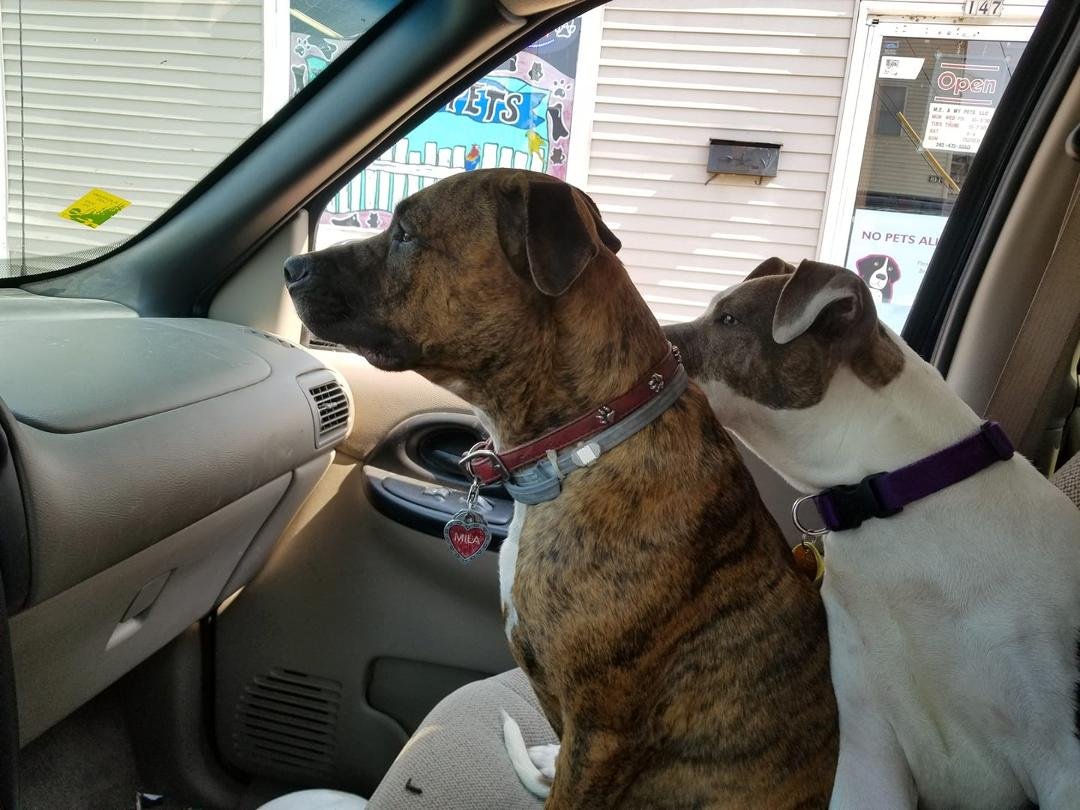 Suzy: Where we going big sis Mila?? Huh huh?