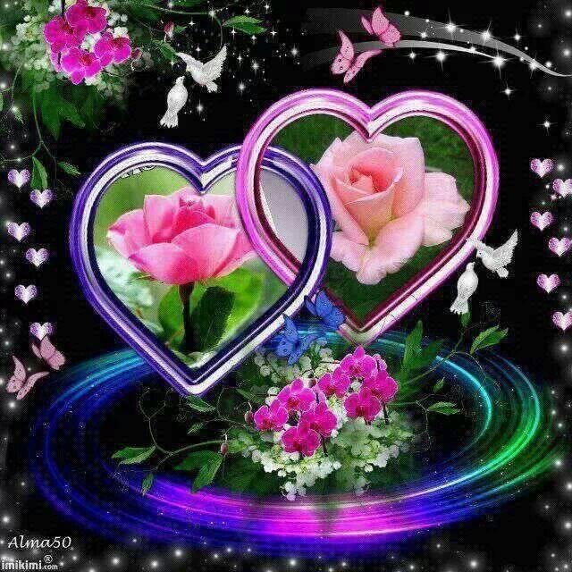 For all the NEW ladies  friend's HAVE A BEAUTIFUL DAY