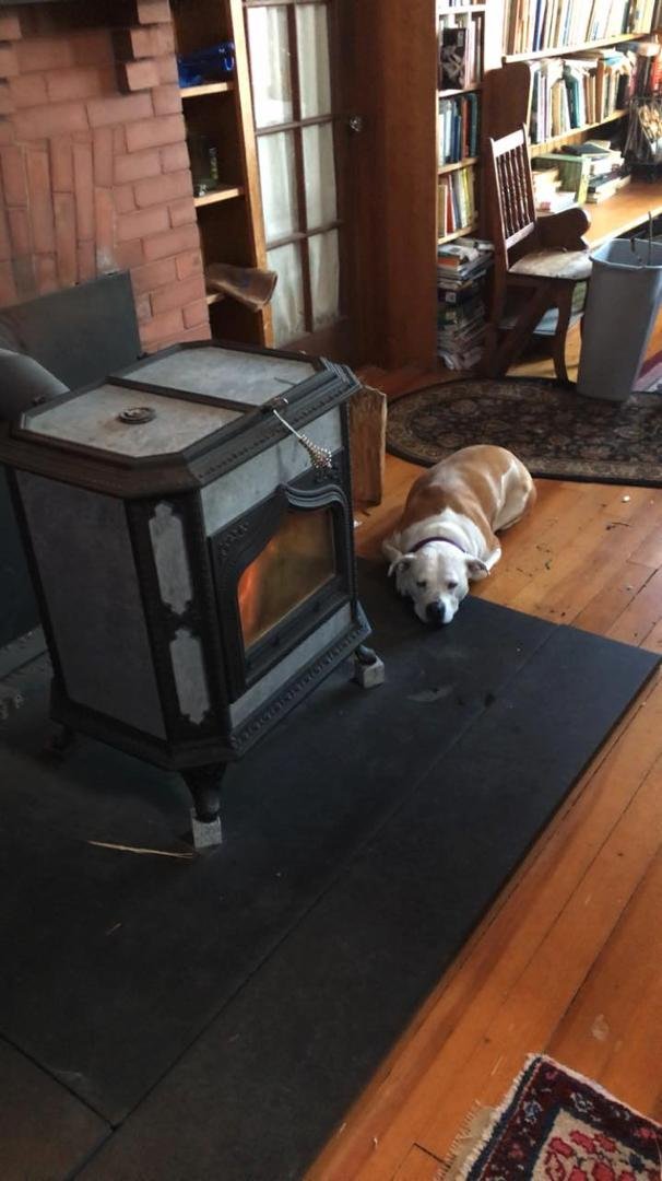 Someone’s happy the woodstove is working again 😴