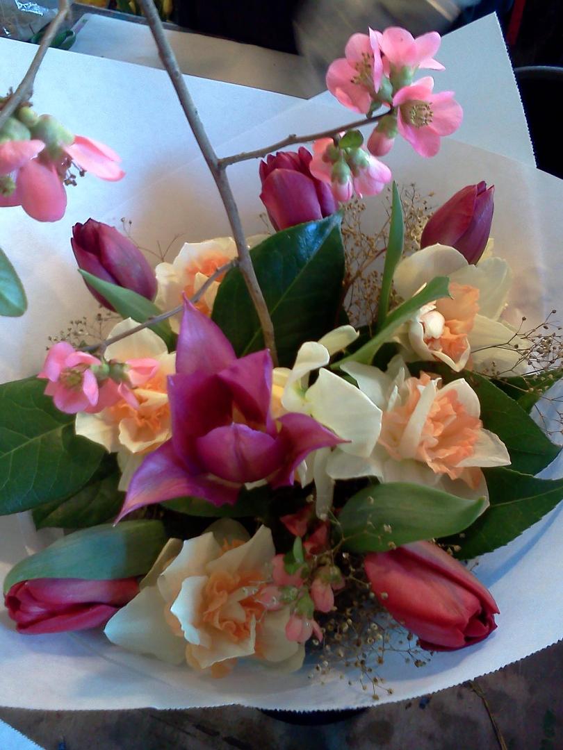 Spring is here in Seattle, awesome beautiful day. These flowers were at Pike Market. Ashlie, I looked for the darkest Tulips I could find. I know how you like the Dark Night ones.