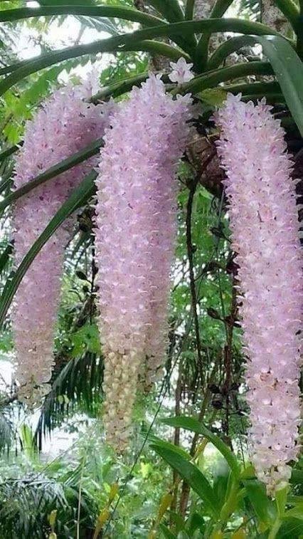 Debra Caster's album, Timeline Photos