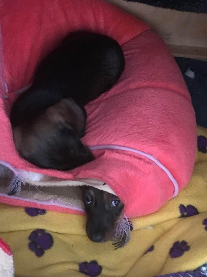Seriously .....can you get off of me!