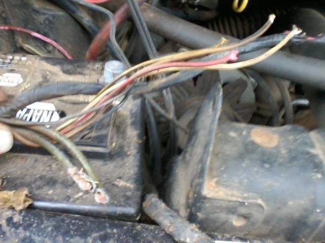 Why snakes are good. Rats cut these wires, but not the ones after copper!