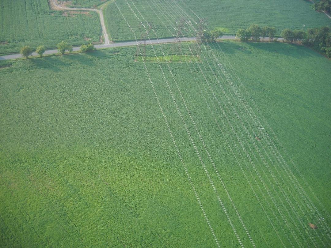 Those are power lines!