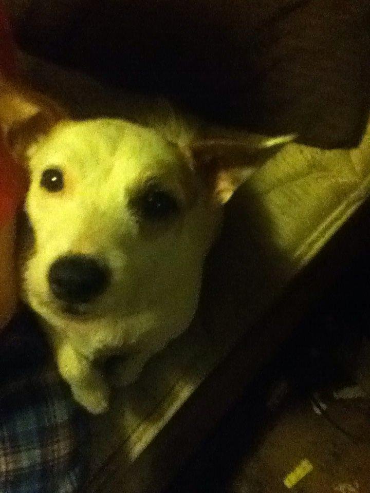 Ahh her wants me to hold her