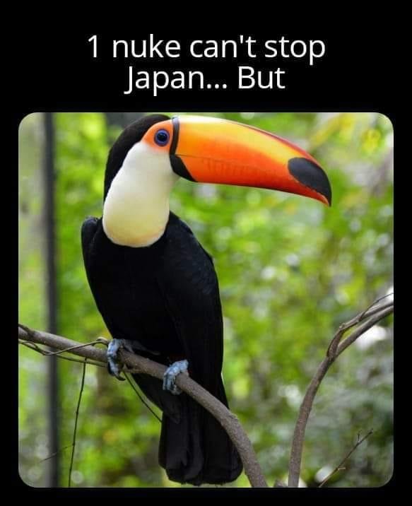 Share when you get it🤣