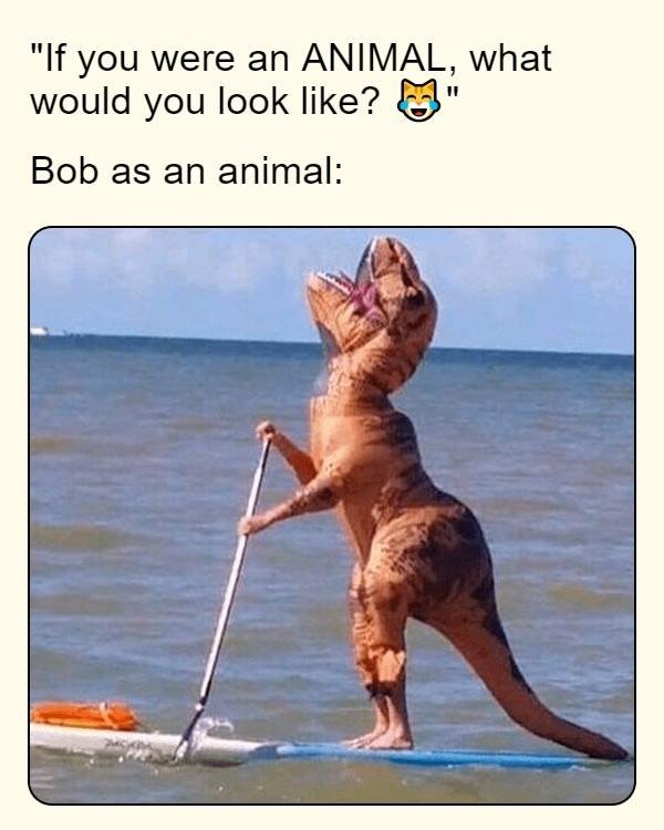 Bob Grace's album, Timeline Photos