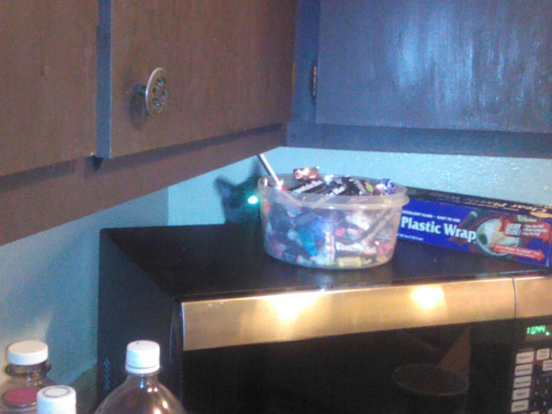 My cat hiding and trying to steal candy