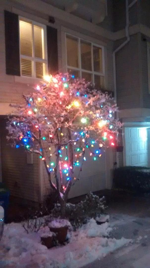Rick Branswell's album, Timeline Photos