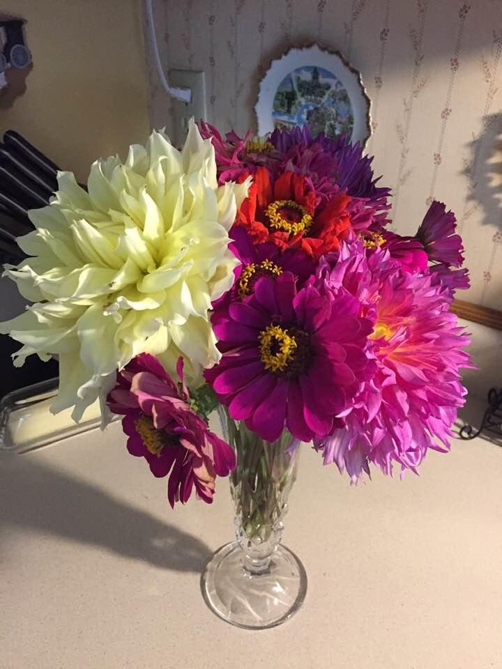 Get well flowers from my son Richie, thanks Richie!
