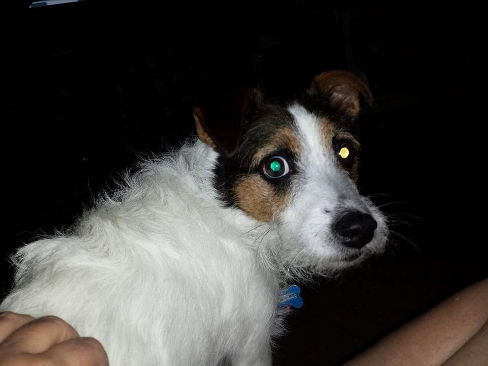 My Nicholas sitting in my lap this morning. Chillin' with coffee and news before work.