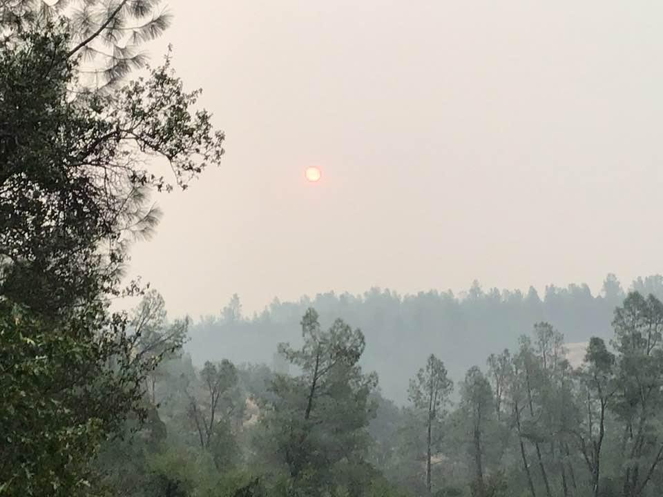 Sunrise in Northern California. Off my back deck.