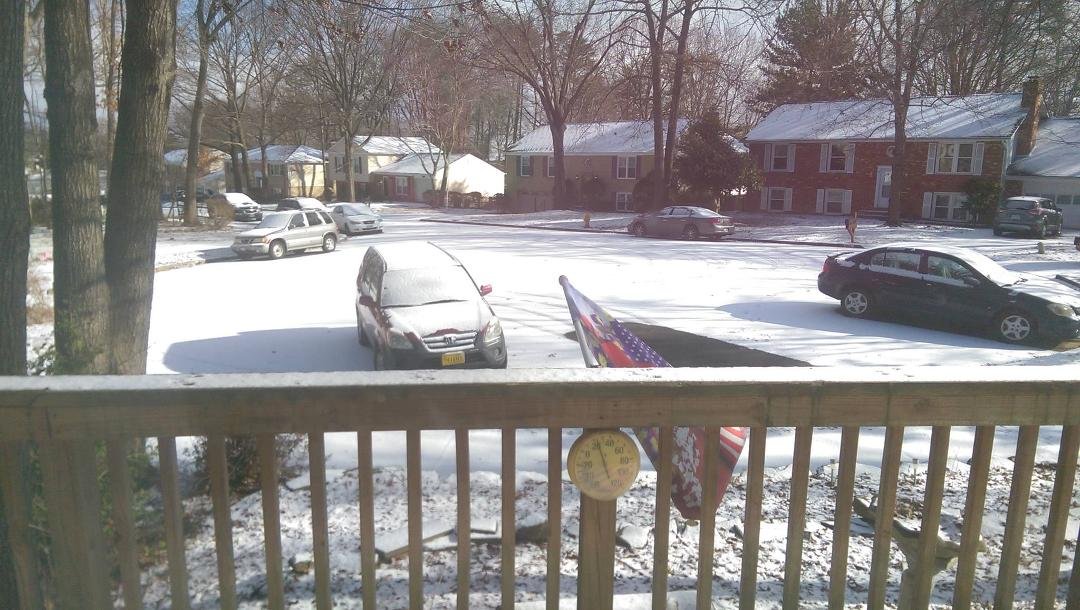 Out my window this morning.