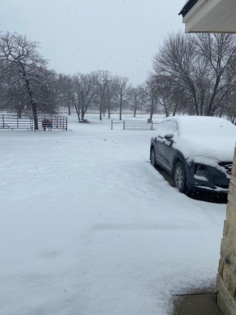 My sister Denise woke up to this in Chico, Texas this morning. So glad I live in tropical Minnesota!