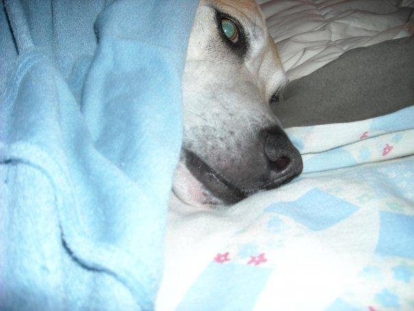 Spoiled rotten, just like my kids.