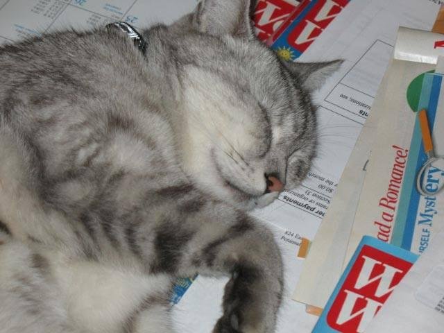 Whoooo --- Long Day, I'm Plumb Tuckered Out
