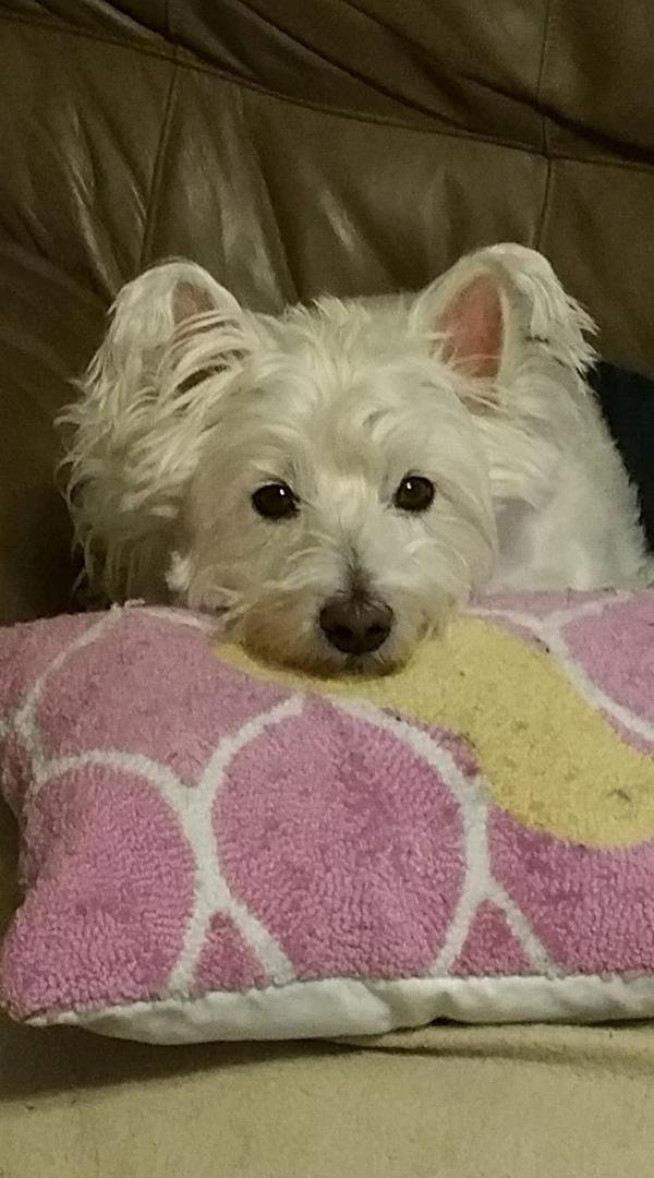 MOSEY  ,wants no part of going out in the rain.
Just like me. ENJOY