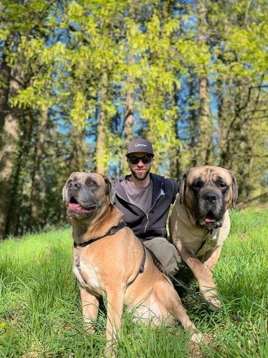 My grandson and his dogs.
