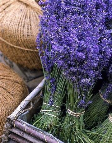 Mike Nelson's album, Timeline Photos