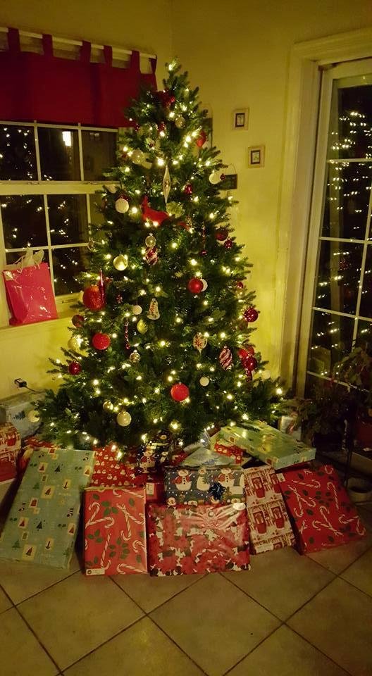 Merry Christmas to all from Steve, Candy, Ronnie, and Shelby!!