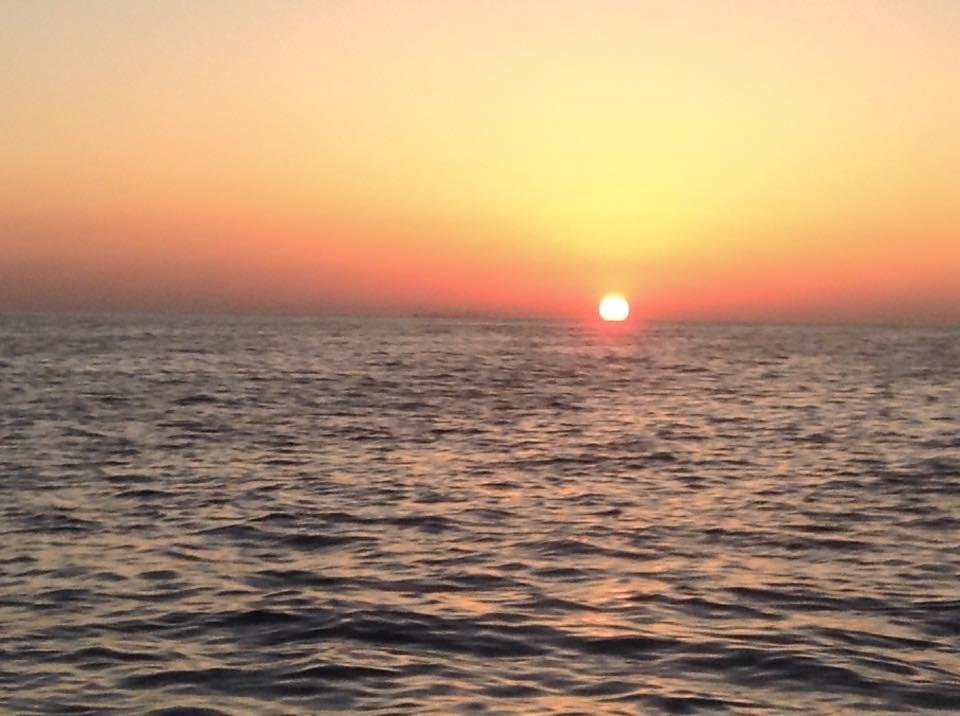Mike Rowles' album, Mobile Uploads