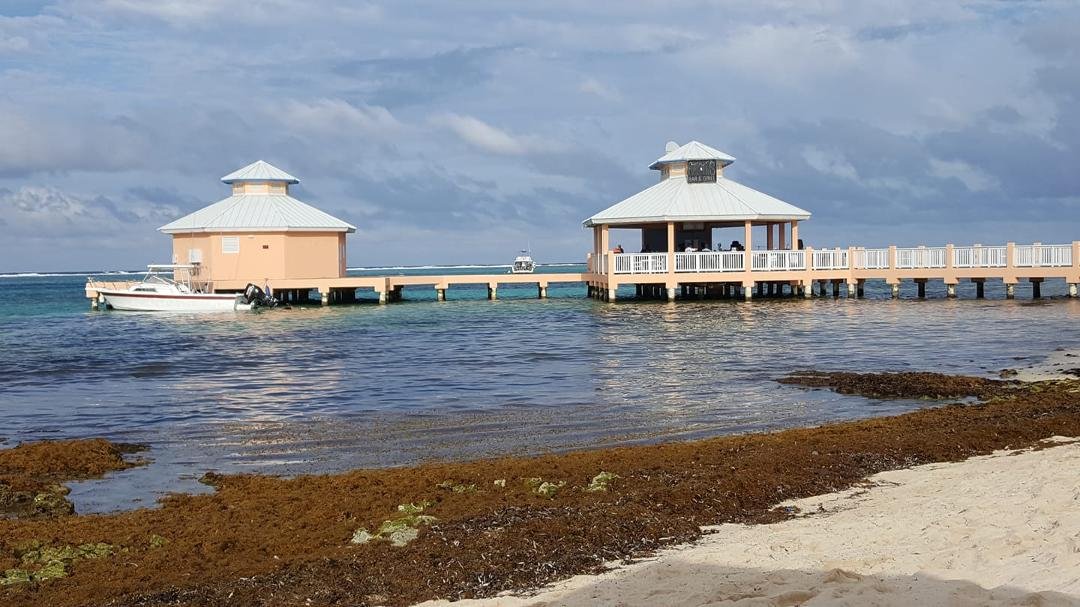 A beautiful day in the Cayman islands. We never get tired of this view. A lot of babies and preschoolers this year, makes me wish the kids and grandkids were here. Maybe next year.