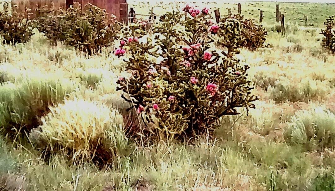Colorado