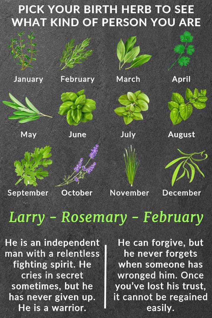 Larry Blagg's album, Timeline Photos