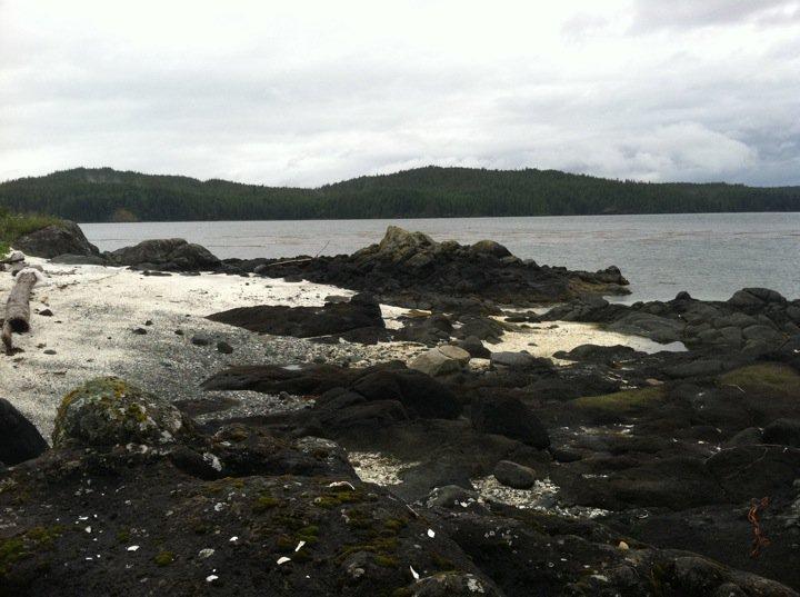 Shell Island