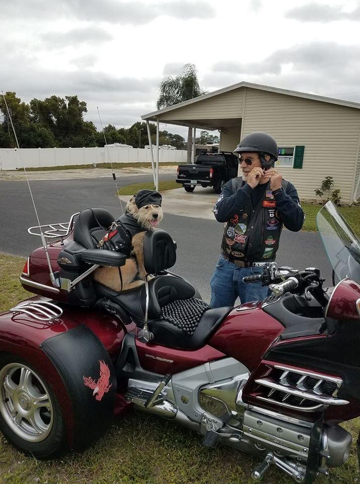Took Sadie for a Birthday ride.