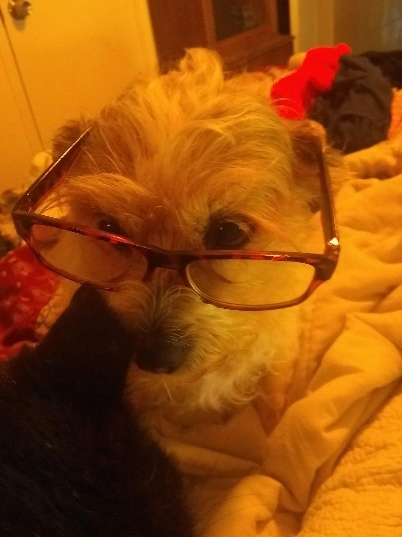 Ahh glasses on Dolla