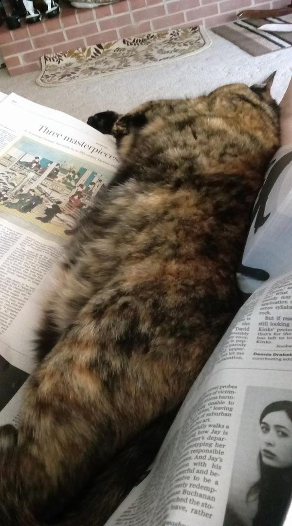 So I'm reading the paper and this happens.