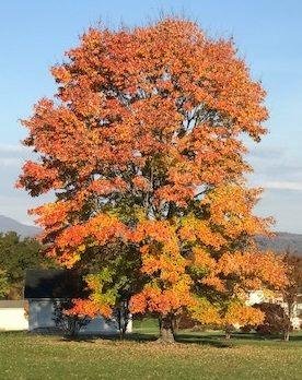 Richard W. Higgins' album, Timeline Photos
