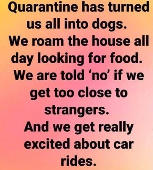Catherine Lawson's album, Timeline Photos