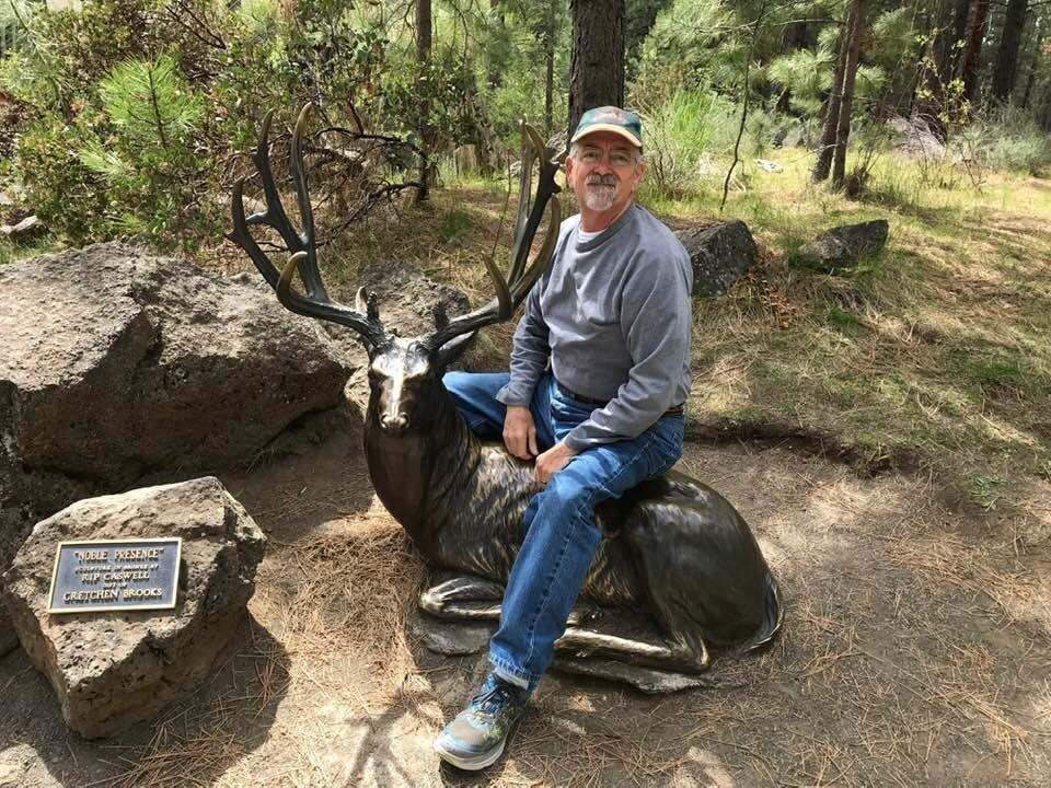 Sittin on a bull elk