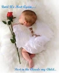 Susan Windle's album, Timeline Photos