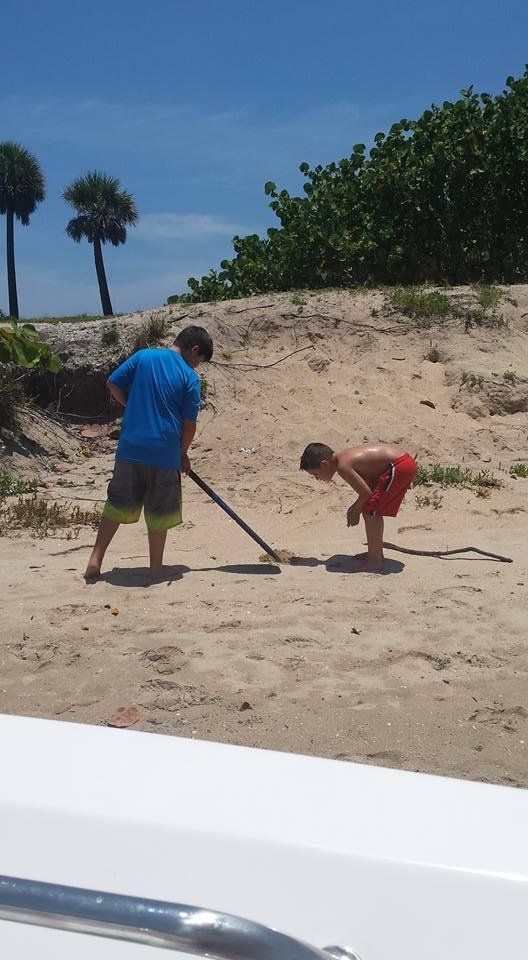 Zac and Matthew hunting sand crabs.