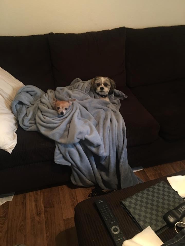 They both hate the rain