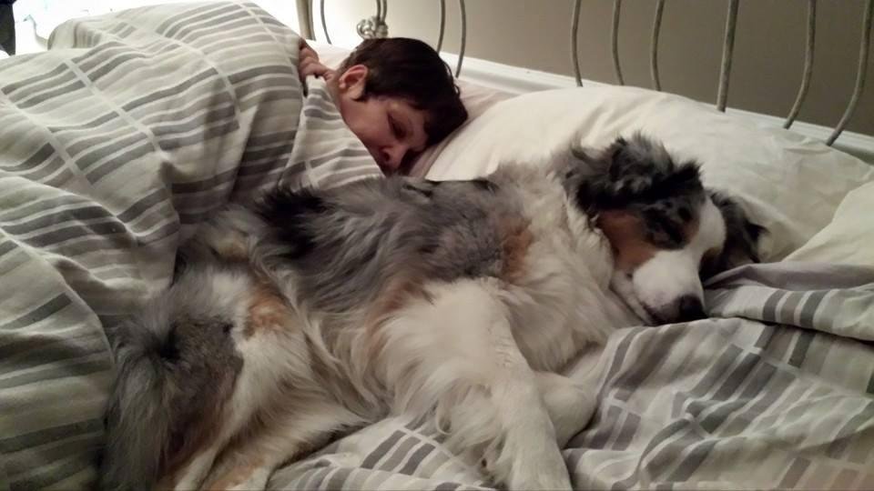 Hayden has gone to bed for the night in her preferred spot.