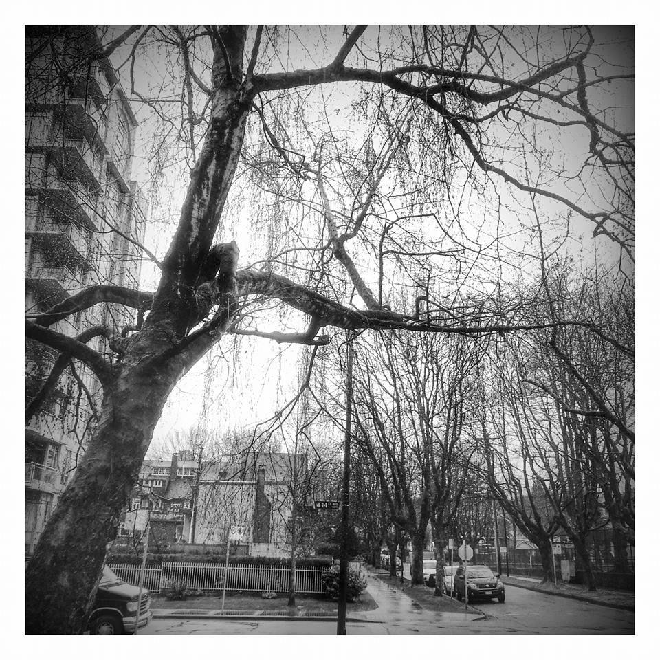 Robert Edwards' album, Mobile Uploads