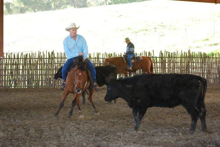 working a cow