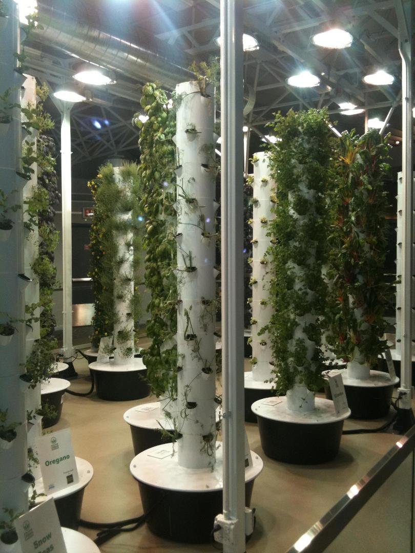 Urban garden at o'hare airport