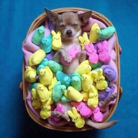 Happy Easter to Ciera Davisson