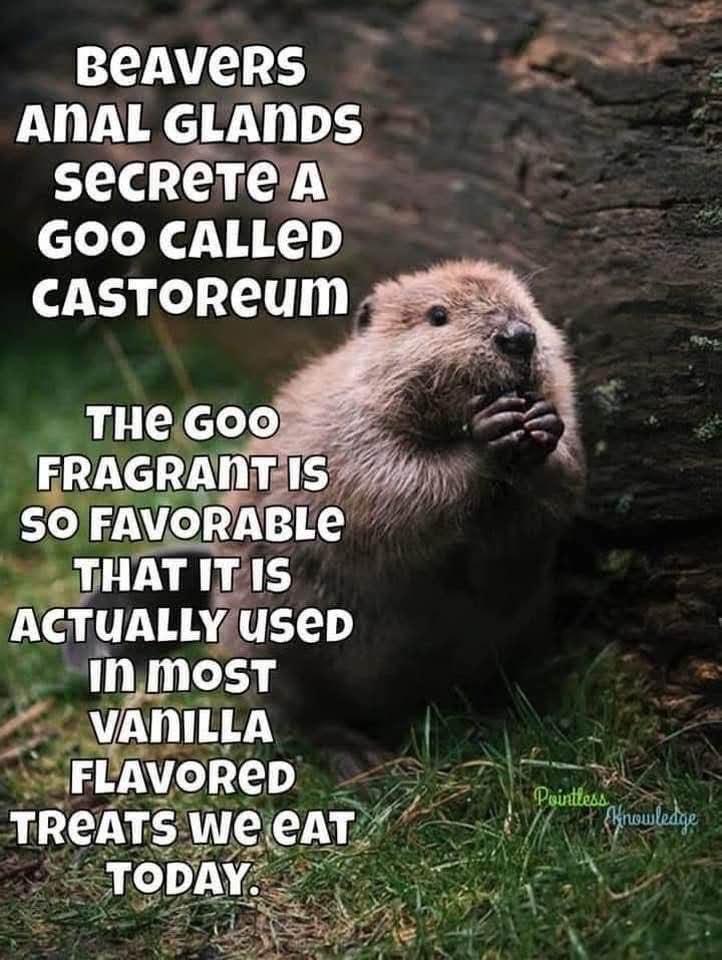 Do your own research