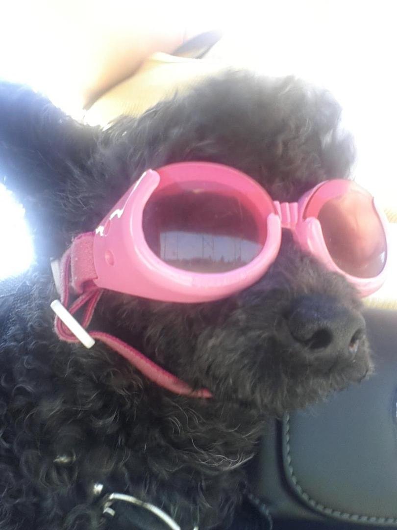 Harley riding on the harley