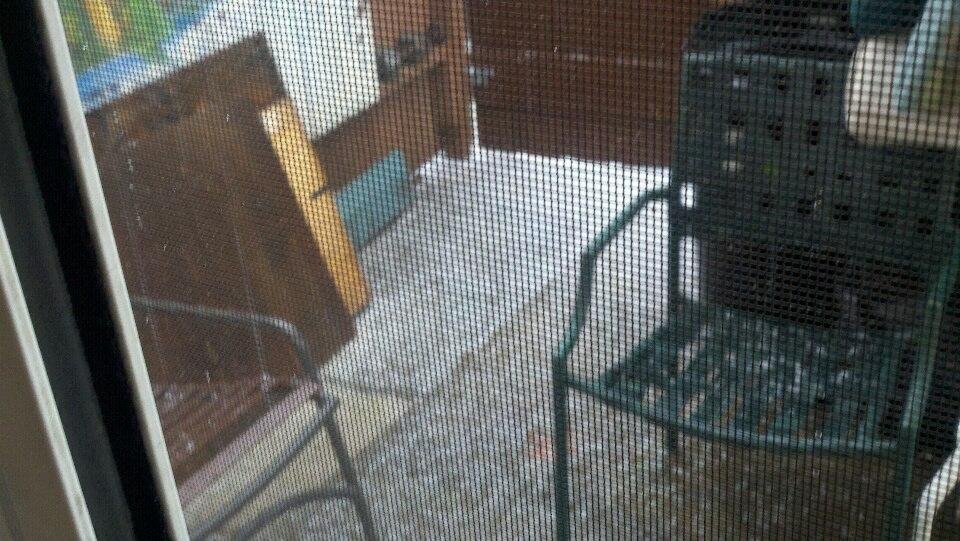 Hell! Thats a lot of hail!