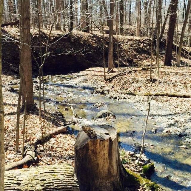Stream