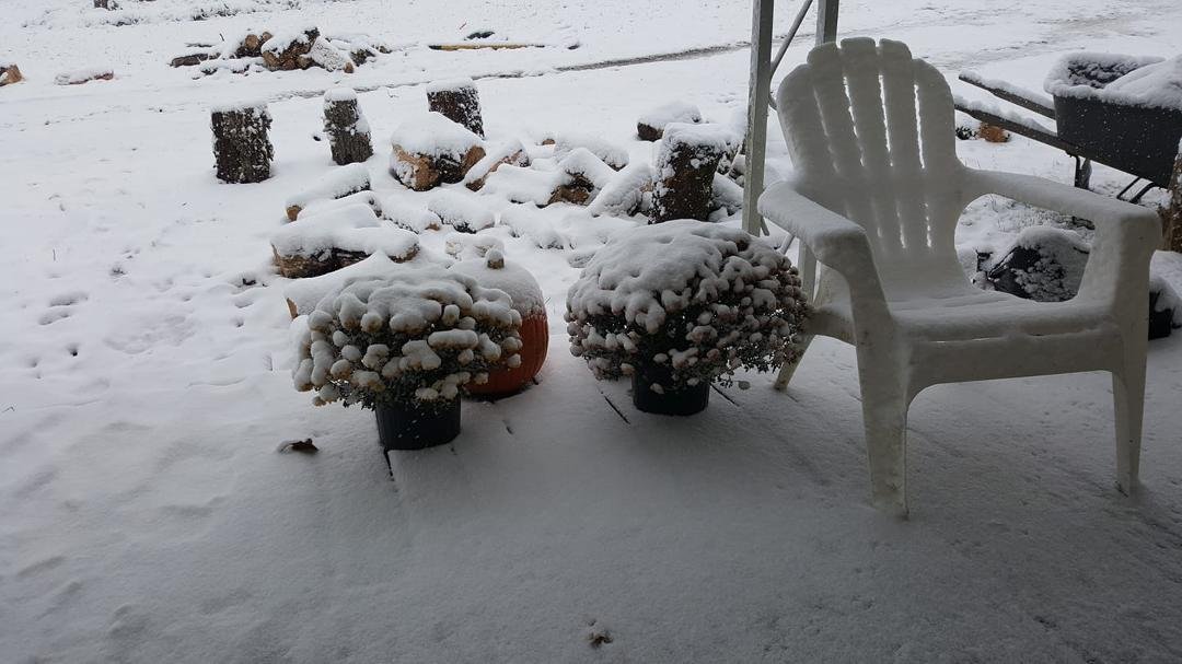Snow. Grumpy Monday.