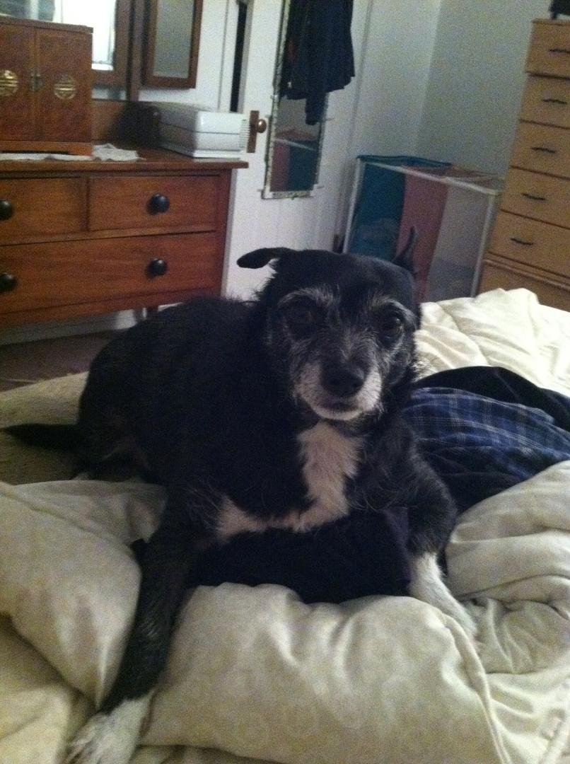 My Little Girl Lucy