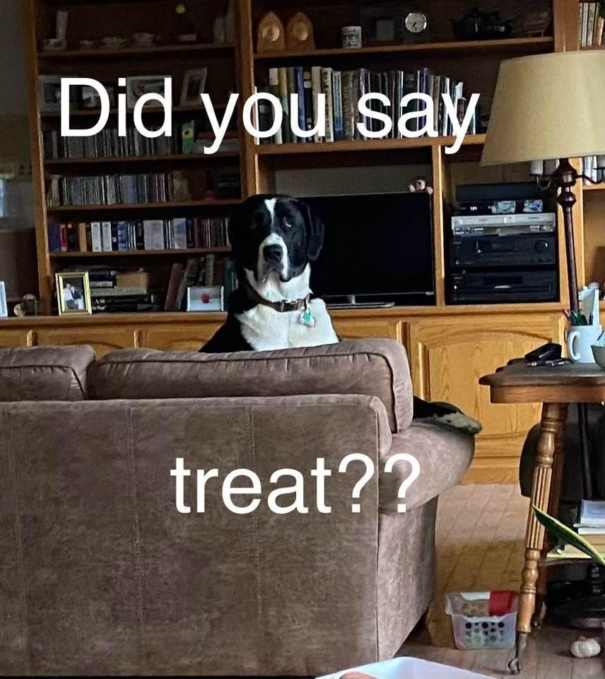 Ruth Mac Donald's album, Timeline photos